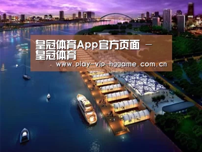 案例展示八